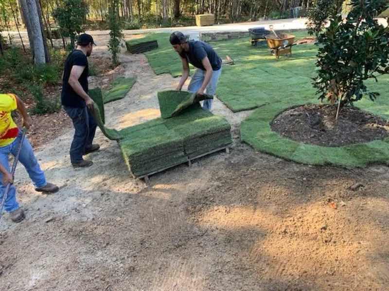 Sod Installation Project near Farmers Branch