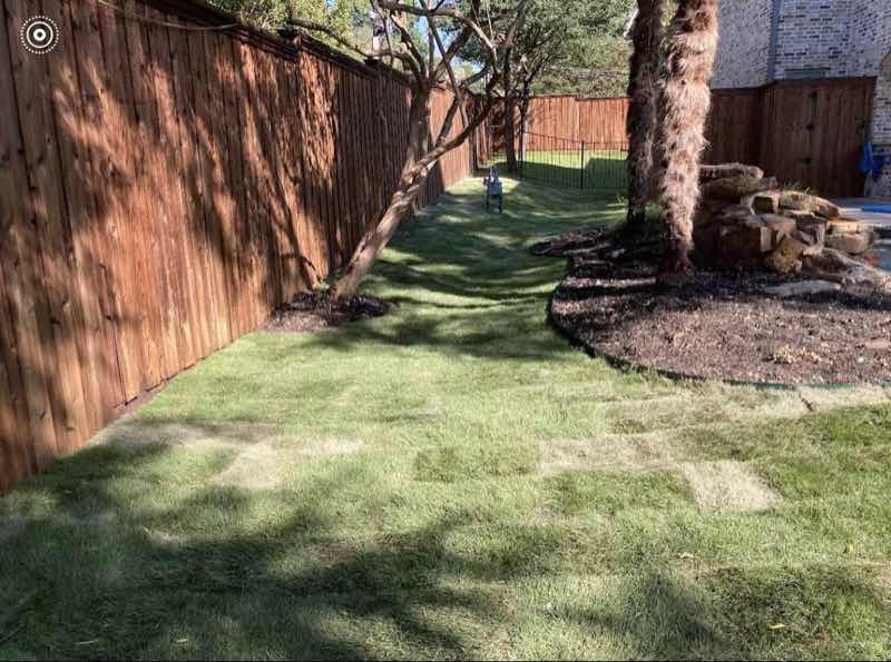 Lawn Replacement near Addison