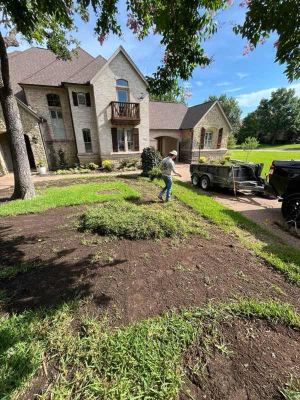 Lawn Replacement in Coppell